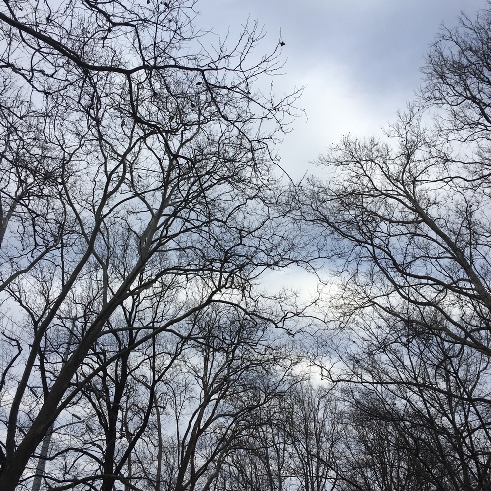 Meet your Posher, Liliana